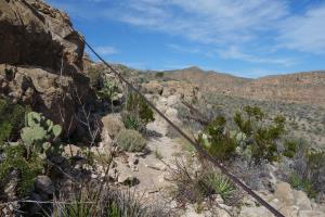 View Of The Trail