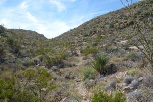 Another View Of The Trail