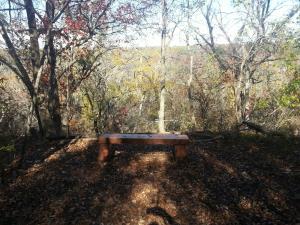 Solitary Bench