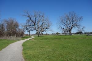 Another View Of The Trail