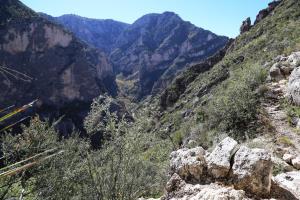 The View of South McKittrick Canyon from The Notch