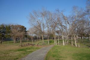 View Of The Trail