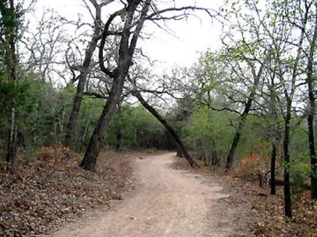 View of the trail.