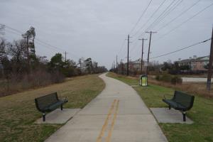 View Of The Trail