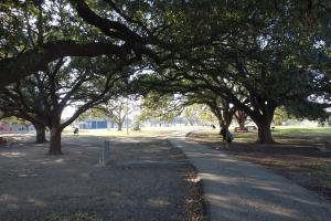 Another View Of The Trail