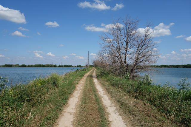 View Of The Trail