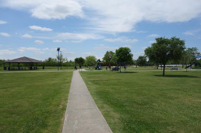 View Of The Trail