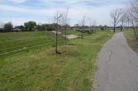 View Of The Trail