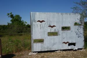 Bird Blind