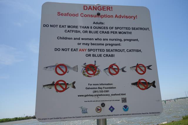 Seafood Advisory