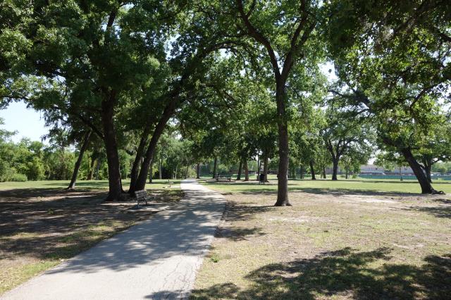 Another View Of The Trail