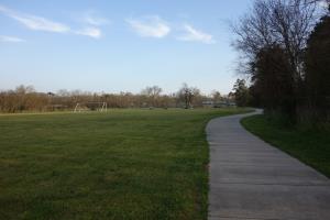 Another View Of The Trail