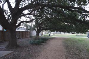 Another View Of The Trail