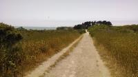A view of the trail before things get sandy. The house on Año Nuevo island can just be made out in the distance.