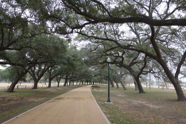 View Of The Trail