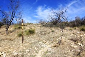 Armadillo Trail signpost