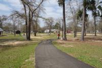 View Of The Trail