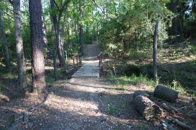 Another View Of The Trail