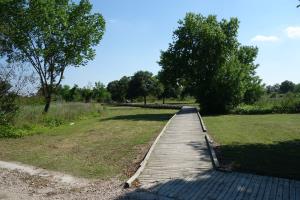 A View Of The Trail