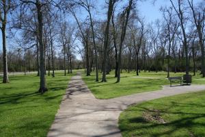 View Of The Trail