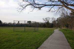 View Of The Trail