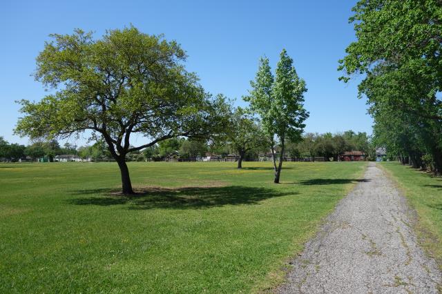 View Of The Trail