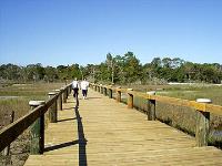 Boardwalk over the wetlands