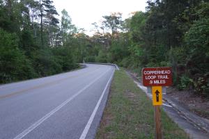 Another View Of The Trail