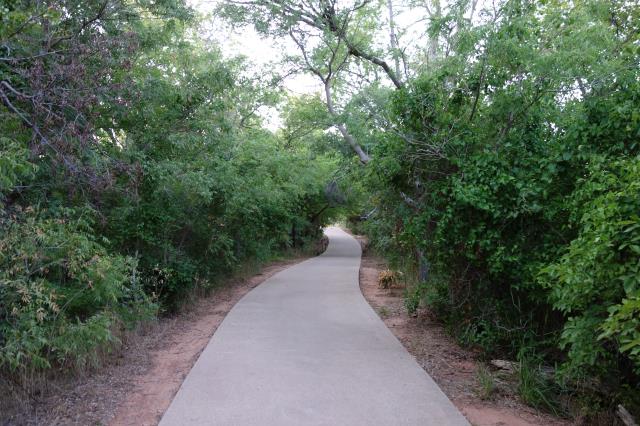 View Of The Trail