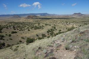 Another View Of The Trail