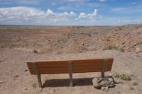 Rest Benches