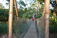 Suspension Bridge