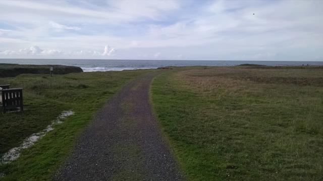 Coastal Bluff Trail