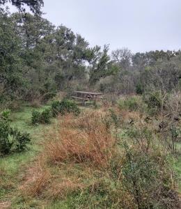 One of many picnic tables along the accessible stretch of trail