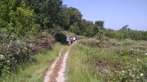 Blackberry Trail