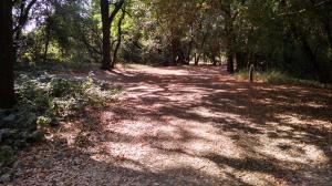 Three Meadow Trail