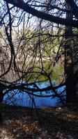 Serene Loop pond