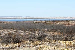 A View of a Burned Area