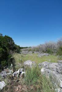 A field of limestone boulders