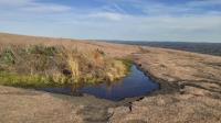Fascinating vernal pools are tiny oases
