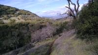 Thatcher Rim Rock Trail