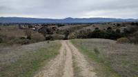 Looking back from the Alston's uphill areas back into the heart of Napa Valley