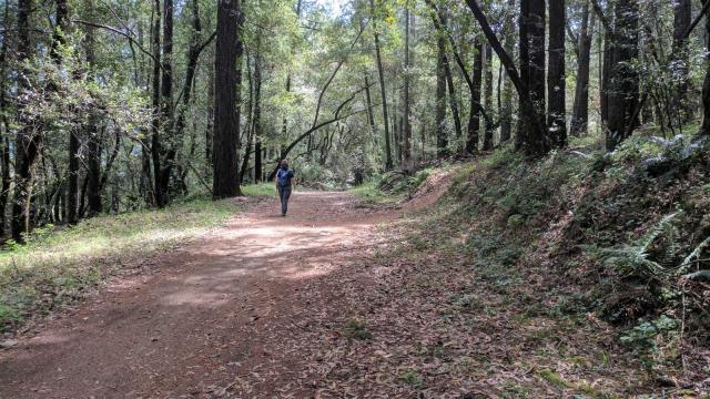 Bucolic Trail