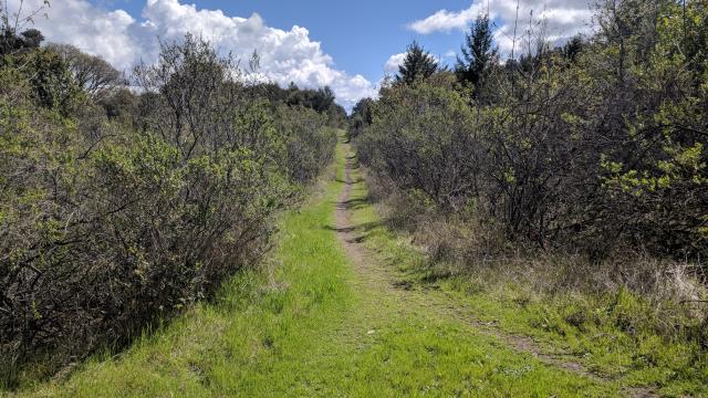 Orchard Trails