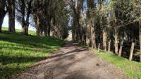The Cardoza Road Trail is one of the few trails in the park with any hint of shade.