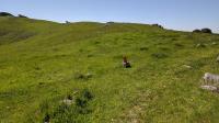 Prairie Ridge Trail