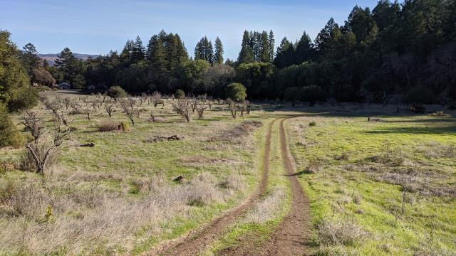 Orchard and Camp Via
