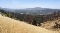 Sonoma Valley and beyond
