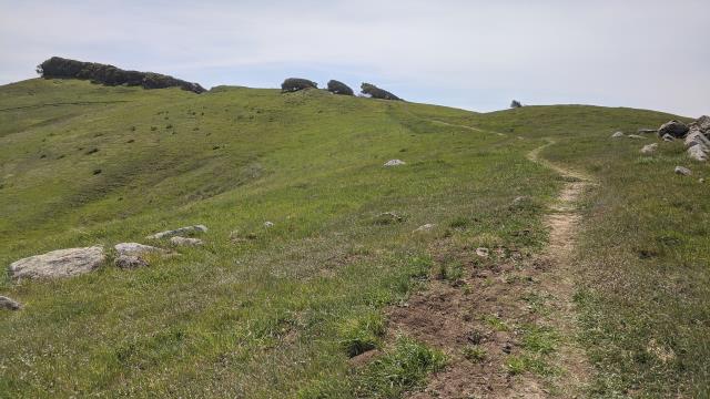 Prairie Ridge Trail
