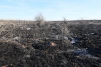 Many parts of the trails were burned.